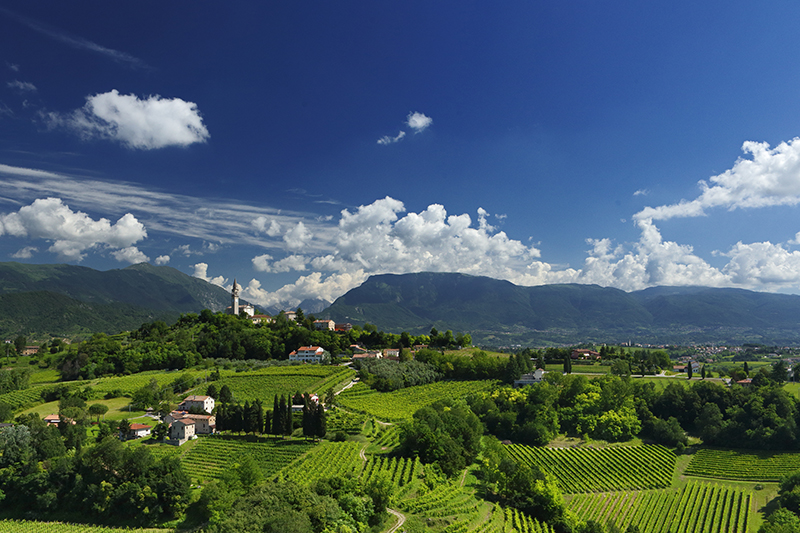 le-manzane-panorama-weingut-weinhandel-ebner.jpg