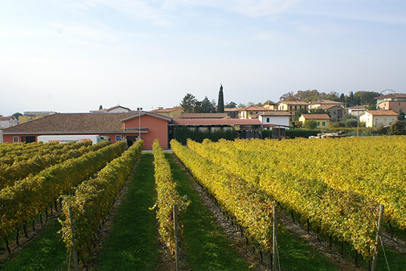 lenotti-weine-galerie-weinhandel-ebner-006.jpg